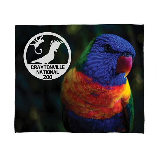 Jeté en peluche en sublimation Pro Vision 50" X 60" (créez votre propre visuel)